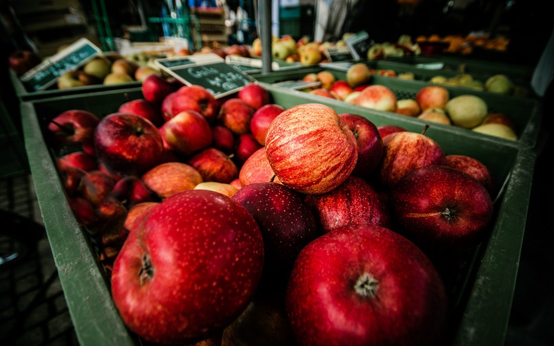 NEXT MEETING OF 2019 / 2020 SEASON